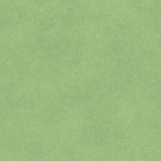 Линолеум Tarkett (Accent Pro) Nara 6