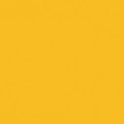 Спортивный линолеум Tarkett (Omnisports Action 65) Yellow